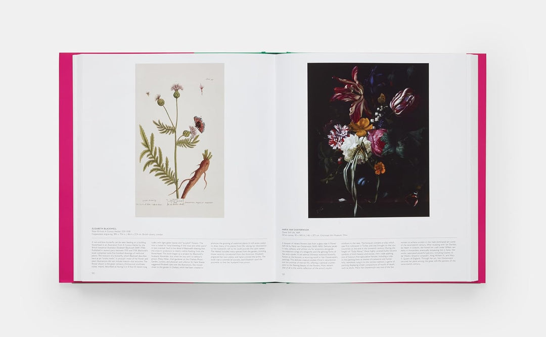 Butterfly: Exploring the World of Lepidoptera