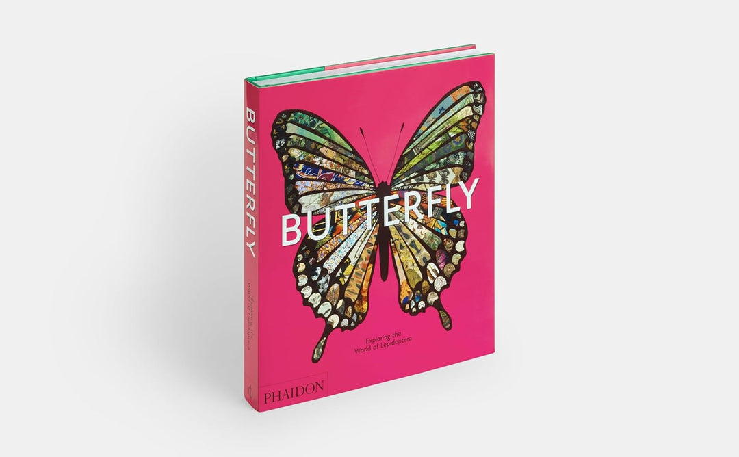 Butterfly: Exploring the World of Lepidoptera