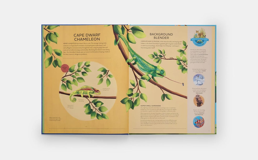 Nature's Tiny Champions: The Big Book of Little Creatures Doing Mighty Things