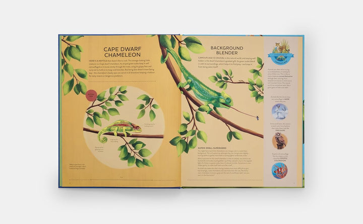 Nature's Tiny Champions: The Big Book of Little Creatures Doing Mighty Things