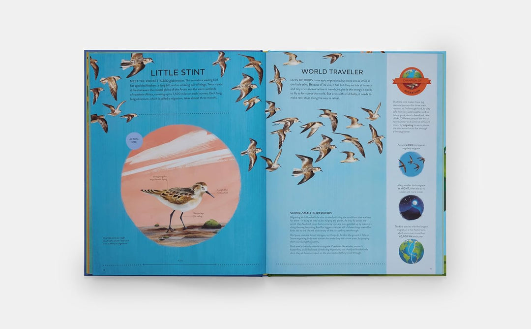 Nature's Tiny Champions: The Big Book of Little Creatures Doing Mighty Things