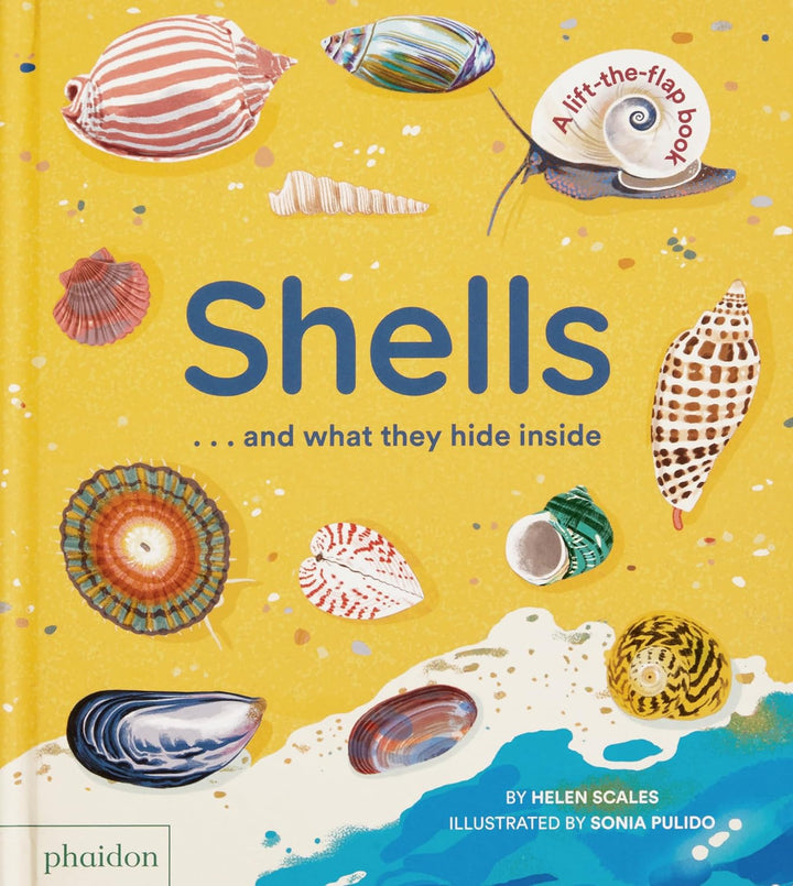 Shells... and What They Hide Inside:  Lift-the-Flap Adventure Book