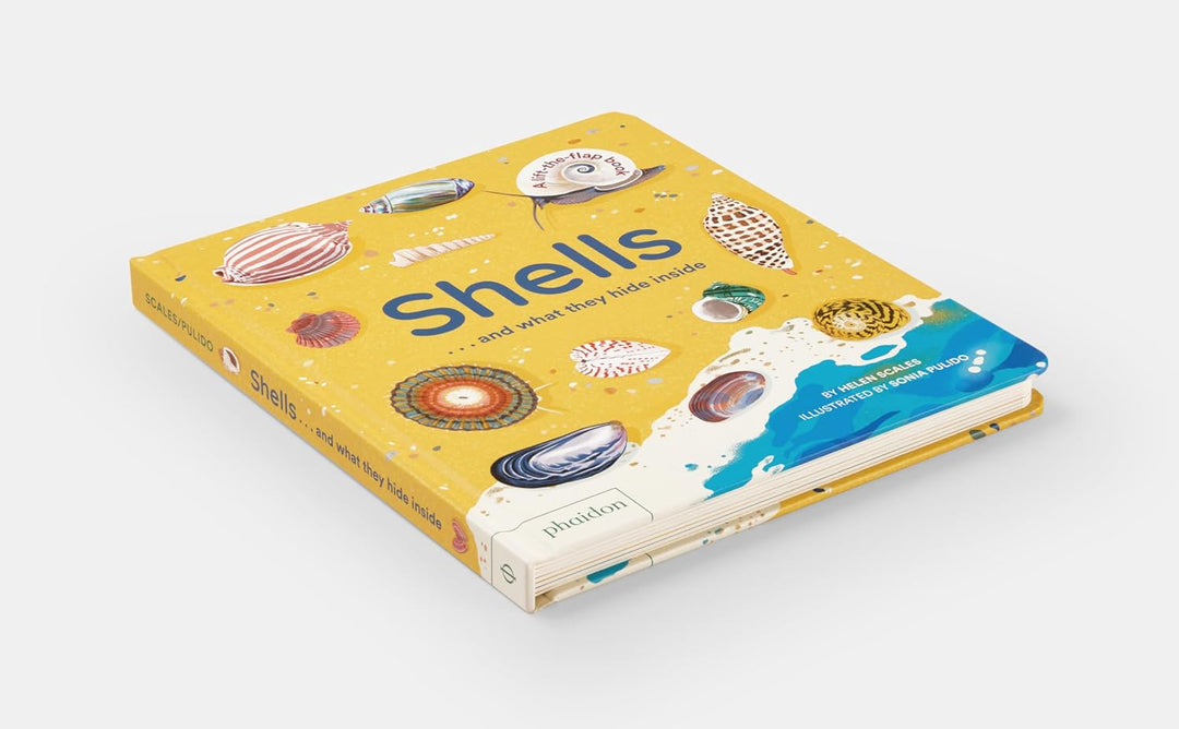 Shells... and What They Hide Inside:  Lift-the-Flap Adventure Book