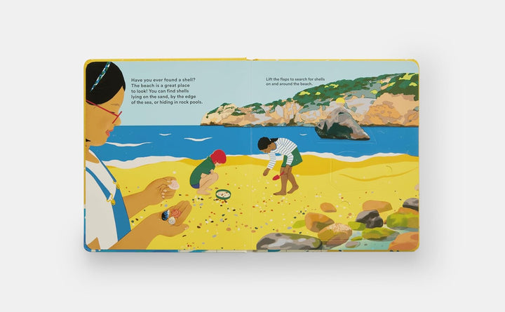 Shells... and What They Hide Inside:  Lift-the-Flap Adventure Book