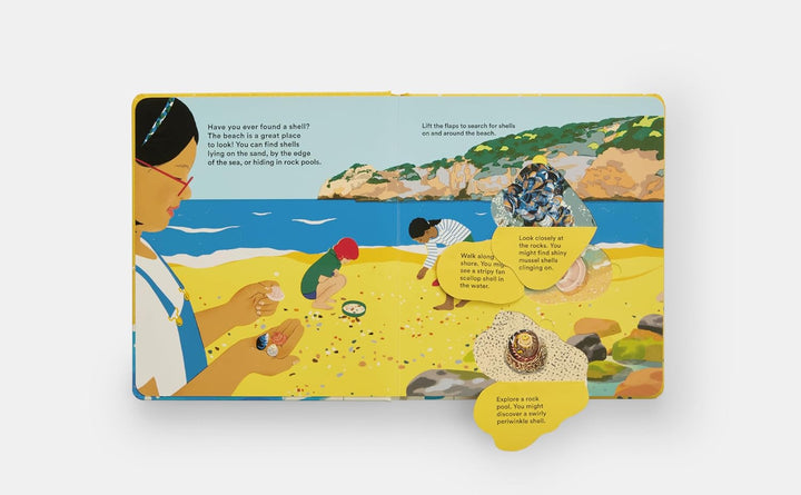 Shells... and What They Hide Inside:  Lift-the-Flap Adventure Book