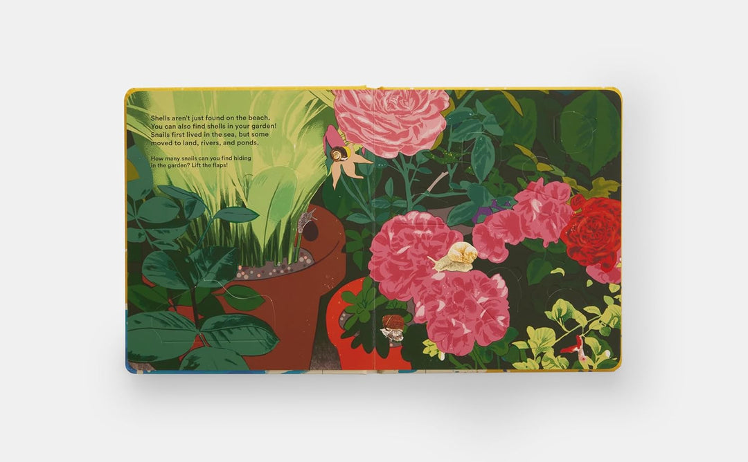 Shells... and What They Hide Inside:  Lift-the-Flap Adventure Book