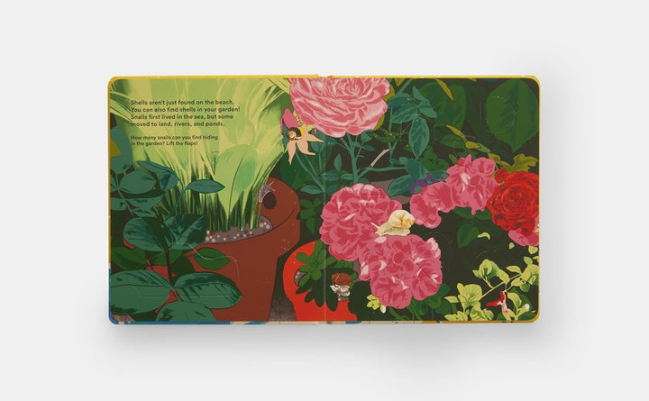 Shells... and What They Hide Inside:  Lift-the-Flap Adventure Book