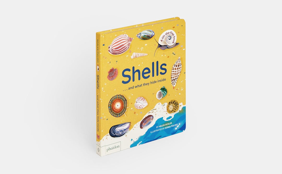 Shells... and What They Hide Inside:  Lift-the-Flap Adventure Book