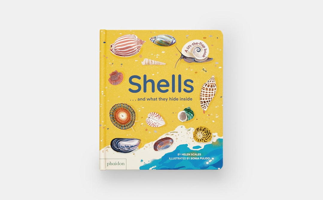 Shells... and What They Hide Inside:  Lift-the-Flap Adventure Book
