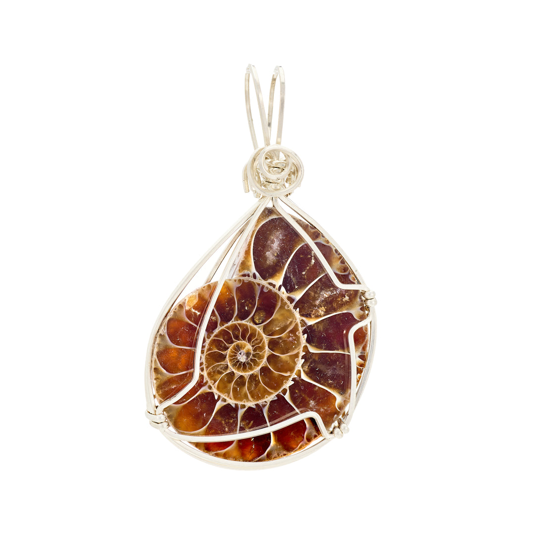 Ammonite Pendant