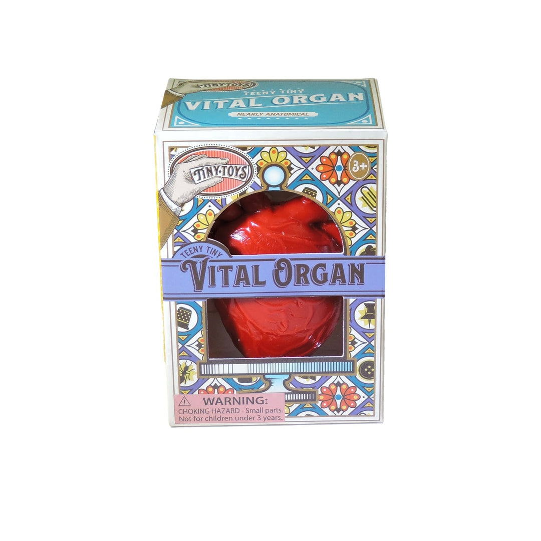 Teeny Tiny Vital Organ Fidget Stress Ball