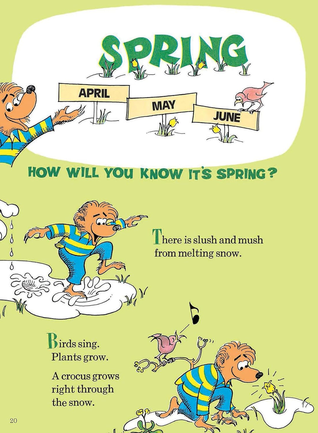 The Berenstain Bears' Big Book of Science and Nature