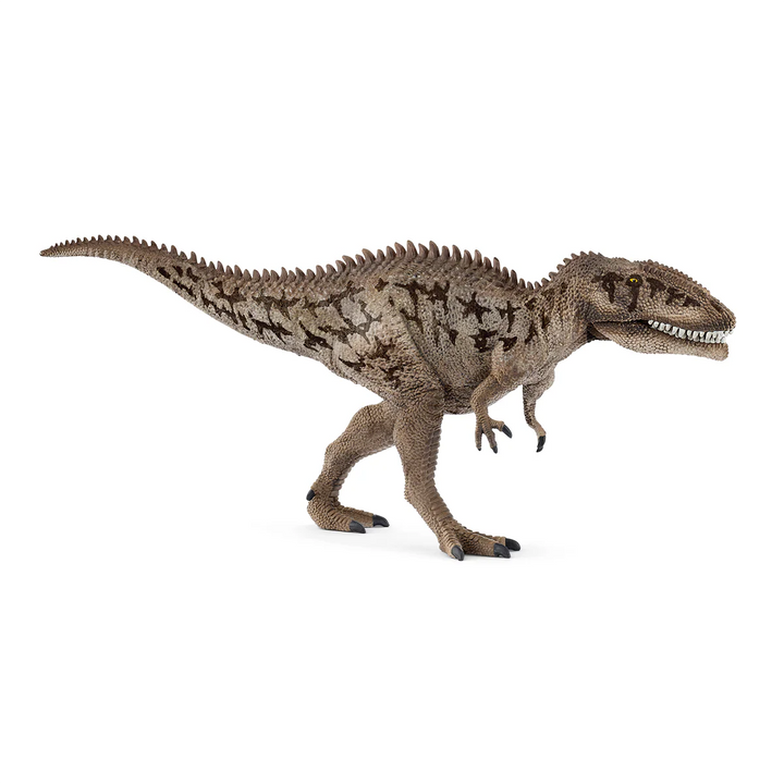 Carcharodontosaurus Dinosaur Replica Toy