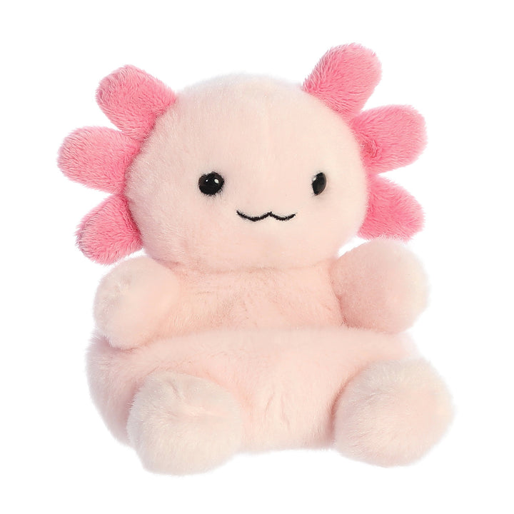 Axolotl Plush Toy, 5 Inches