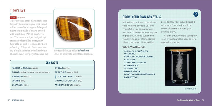 Gems for Kids:  A Junior Scientist's Guide to Mineral Crystals and Other Natural Treasures