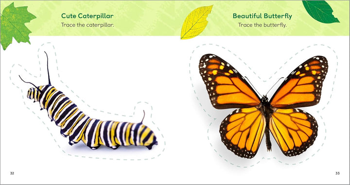 The Backyard Bug Book for Kids: Storybook, Insect Facts, and Activities