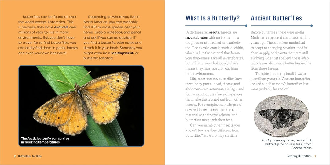 Butterflies for Kids: A Junior Scientist's Guide to the Butterfly Life Cycle and Beautiful Species to Discover