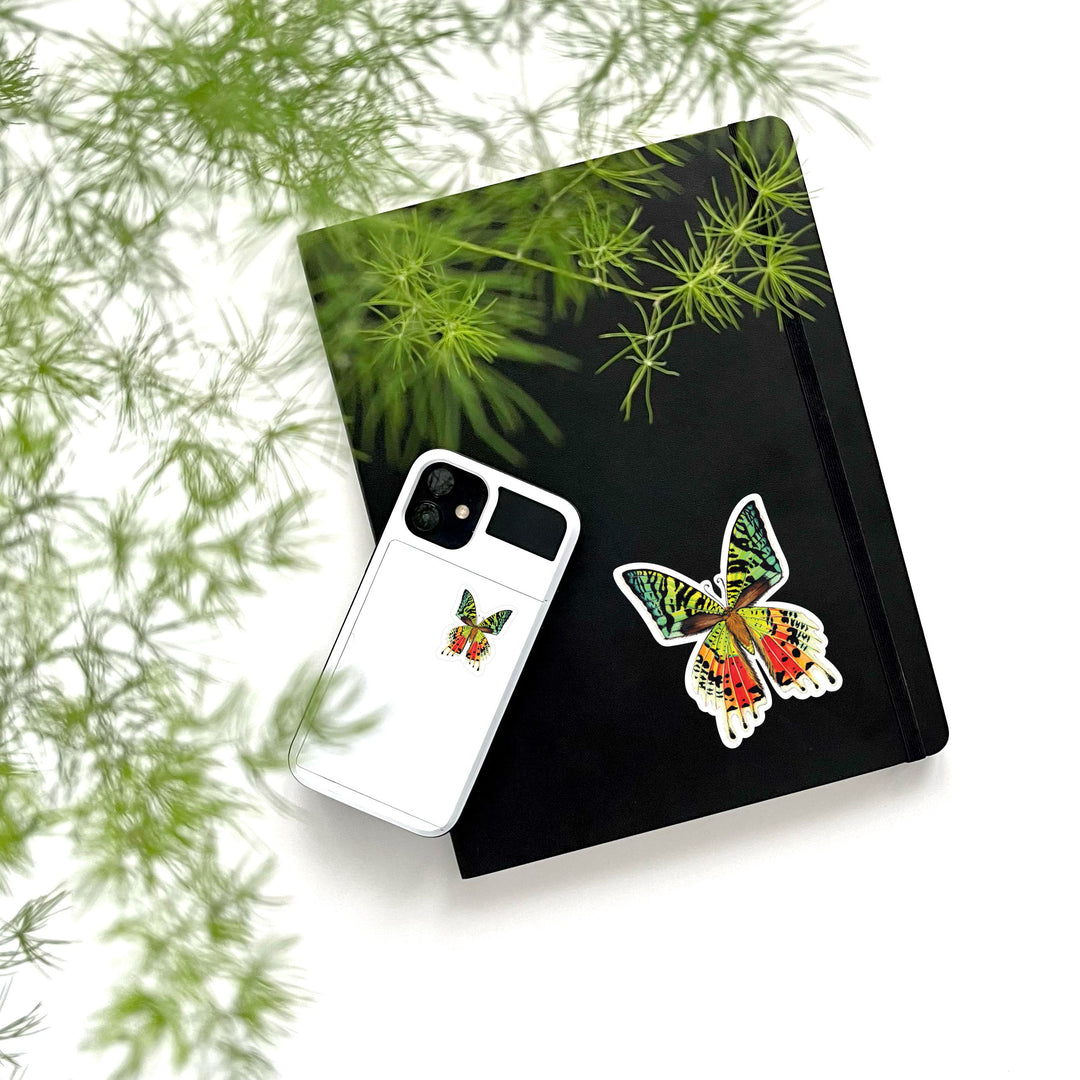 Madagascar Sunset Moth Duo Vinyl Sticker Sheet