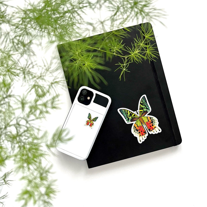 Madagascar Sunset Moth Duo Vinyl Sticker Sheet