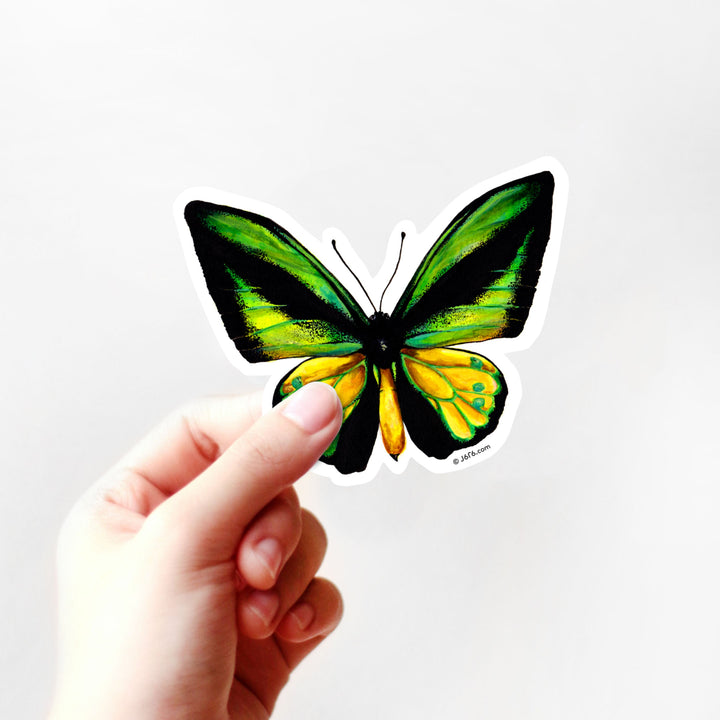 Goliath Samson Bird Wing Butterfly Vinyl Sticker