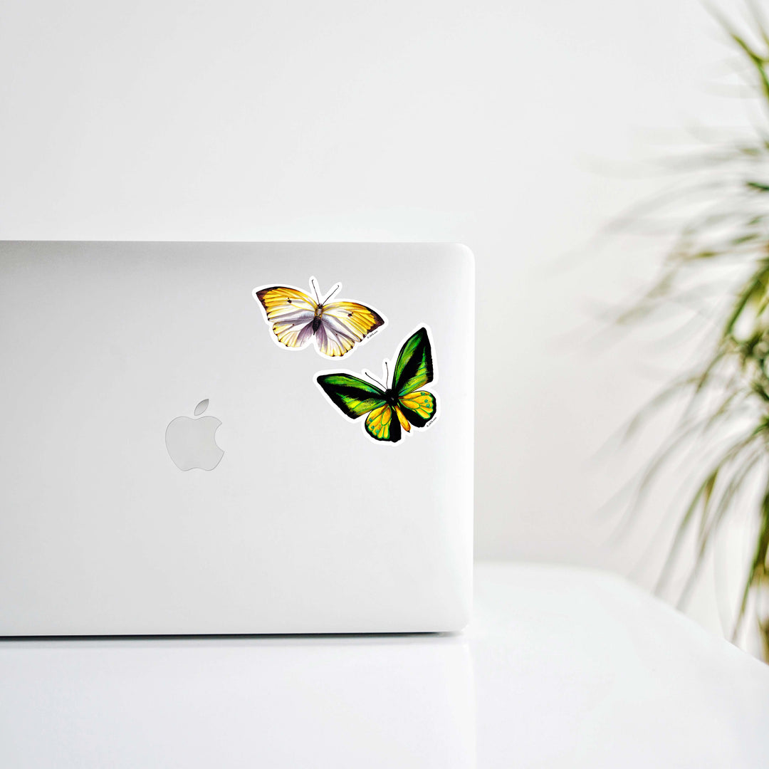 Goliath Samson Bird Wing Butterfly Vinyl Sticker