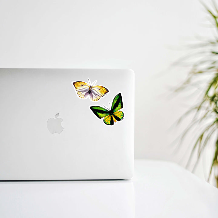 Goliath Samson Bird Wing Butterfly Vinyl Sticker