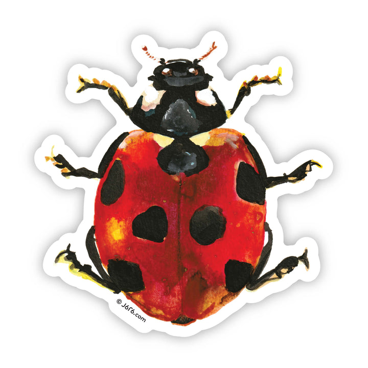 Ladybug Vinyl Sticker