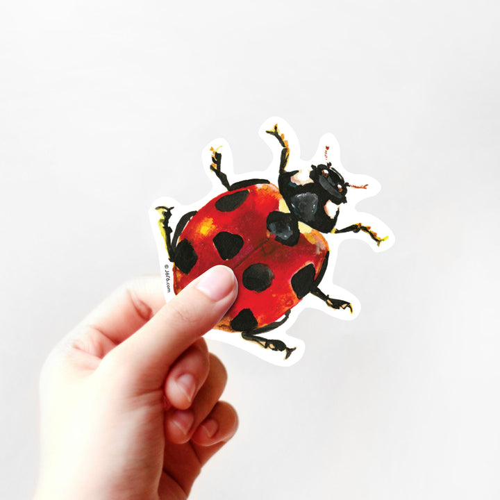 Ladybug Fruit Sticker Ladybug Vinyl Sticker โ Houston Museum of Natural Science