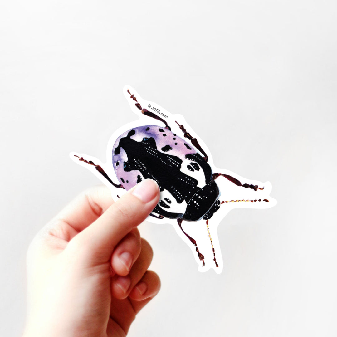 Calligrapha Beetle Vinyl Sticker