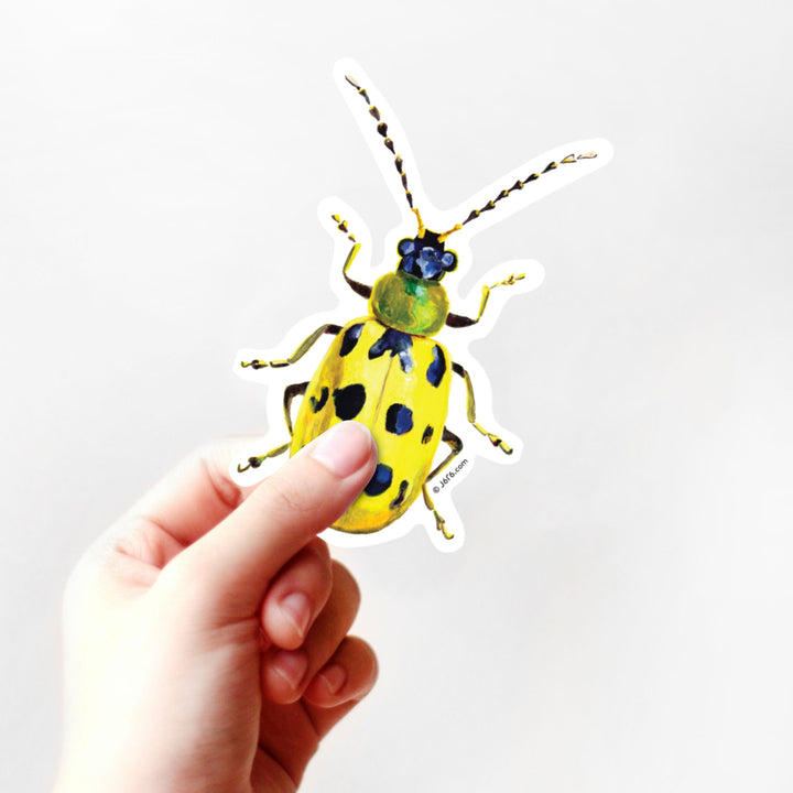 Cucumber Beetle Vinyl Sticker