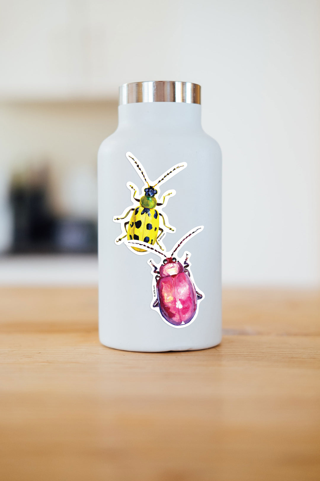 Cucumber Beetle Vinyl Sticker