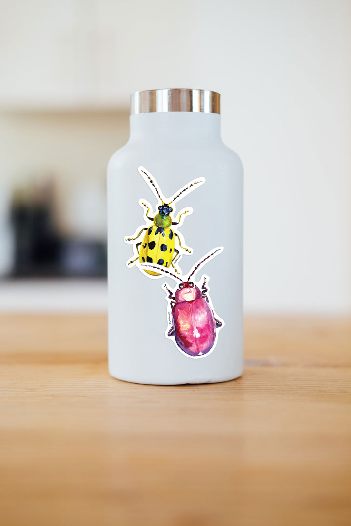 Cucumber Beetle Vinyl Sticker
