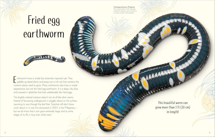 An Anthology of Remarkable Bugs, Visual Encyclopedia
