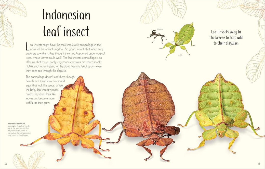 An Anthology of Remarkable Bugs, Visual Encyclopedia