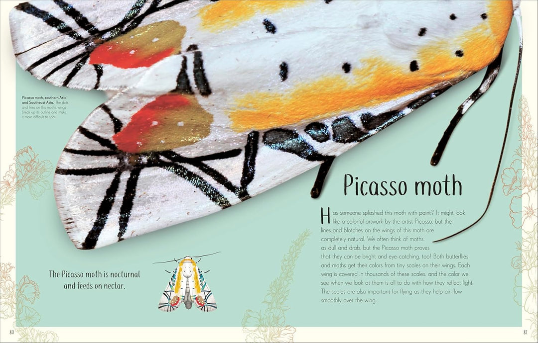 An Anthology of Remarkable Bugs, Visual Encyclopedia