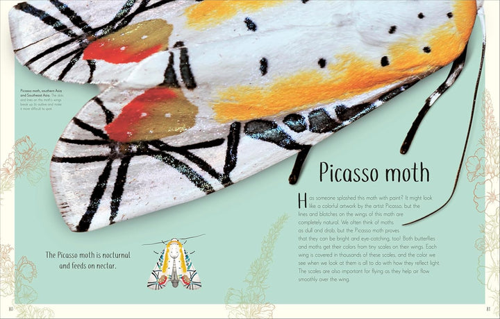 An Anthology of Remarkable Bugs, Visual Encyclopedia