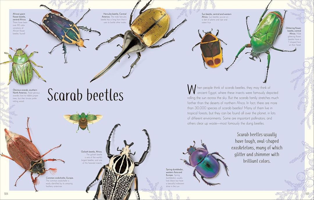 An Anthology of Remarkable Bugs, Visual Encyclopedia