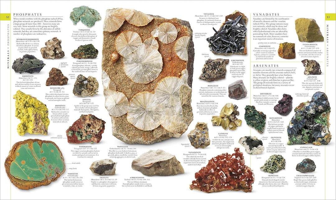 Natural History, Visual Ecyclopedia