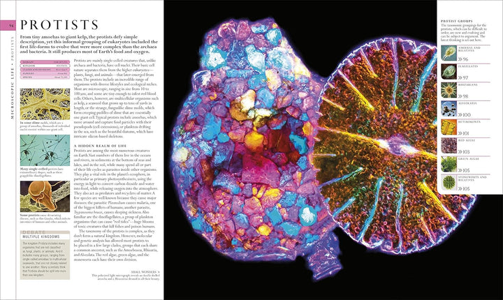 Natural History, Visual Ecyclopedia