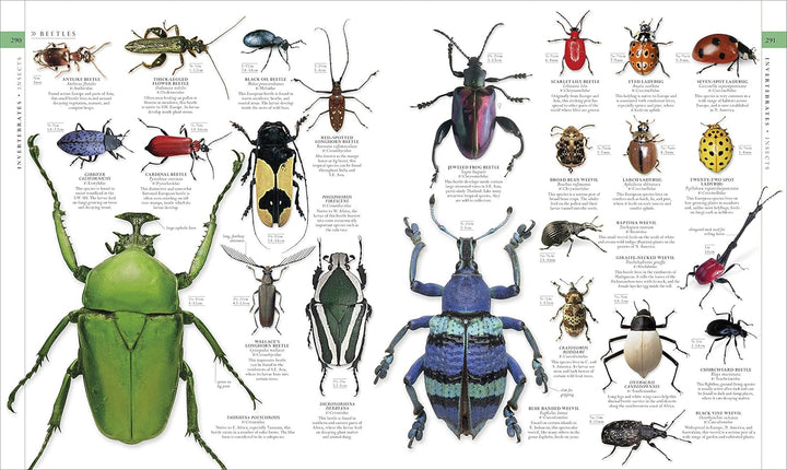 Natural History, Visual Ecyclopedia