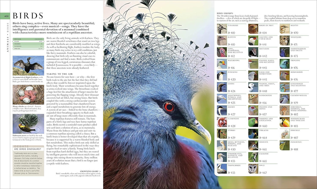 Natural History, Visual Ecyclopedia