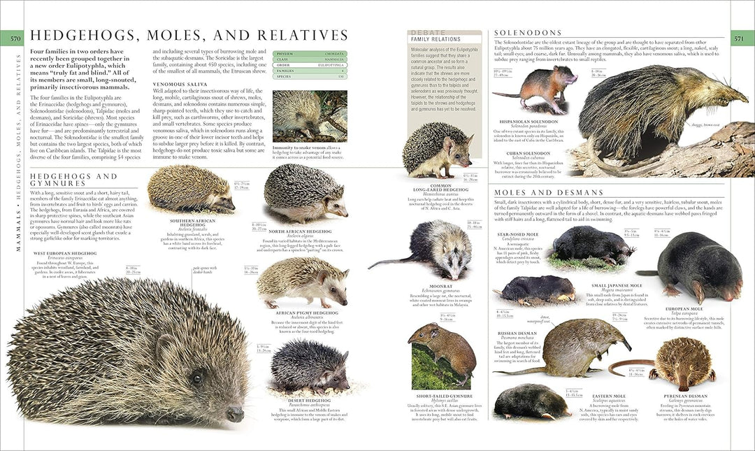 Natural History, Visual Ecyclopedia