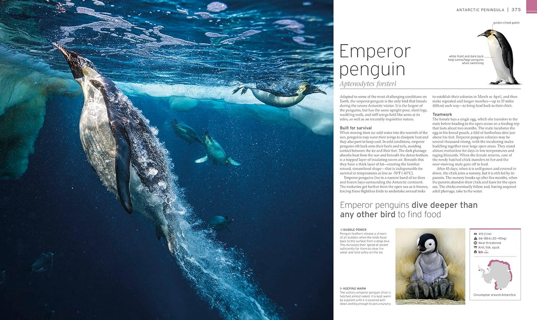 Wildlife of the World