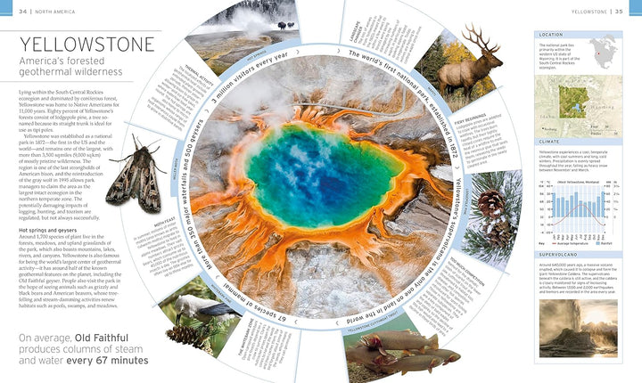 Wildlife of the World