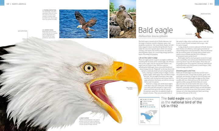 Wildlife of the World