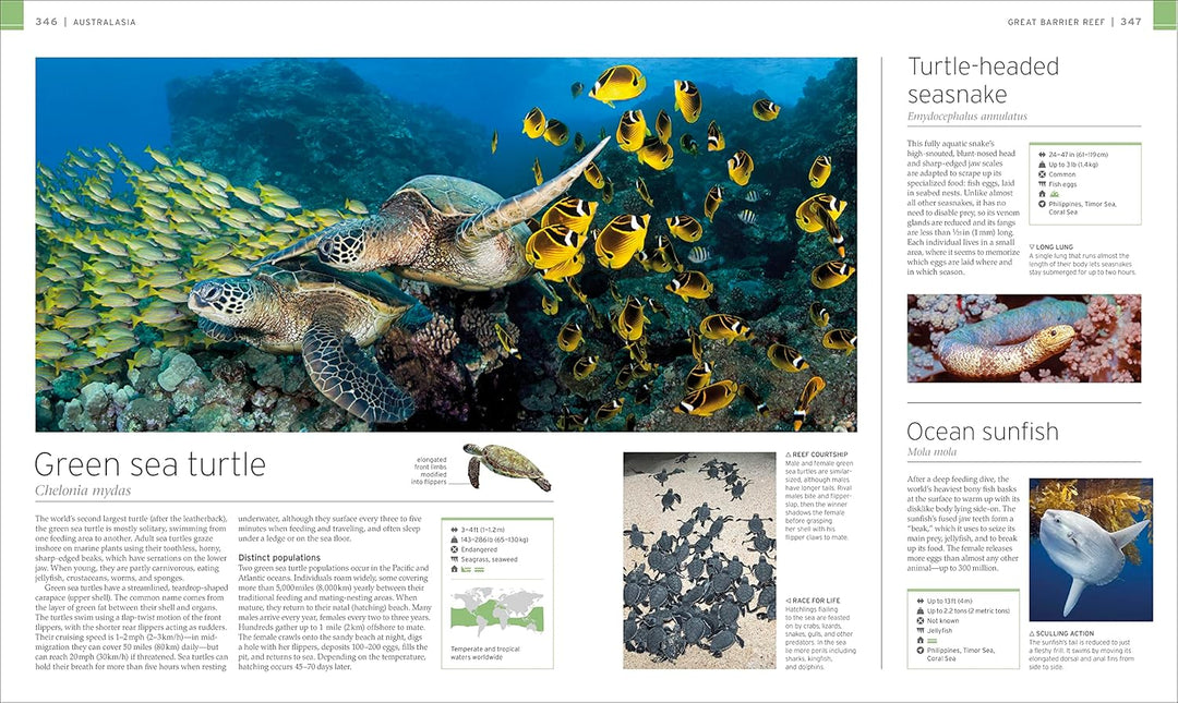Wildlife of the World
