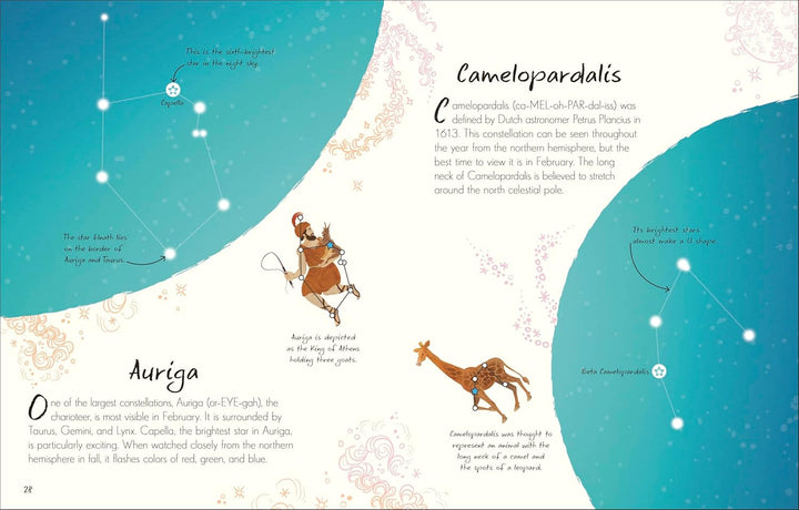 An Anthology of Stargazing: A Collection of Stars and Constellations