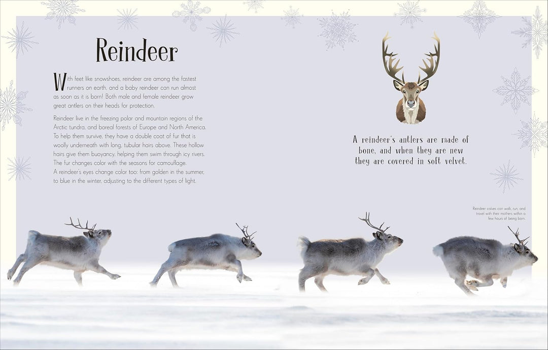 An Anthology of Christmas