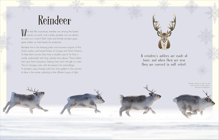 An Anthology of Christmas