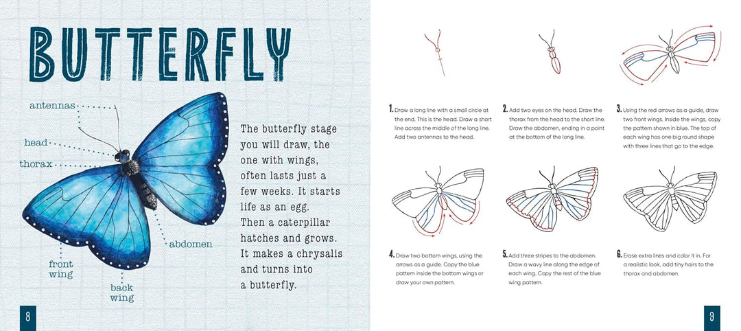 How to Draw Bugs
